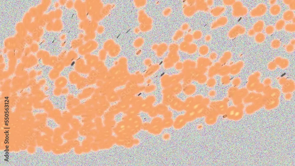 Fire Particles Fire Particles