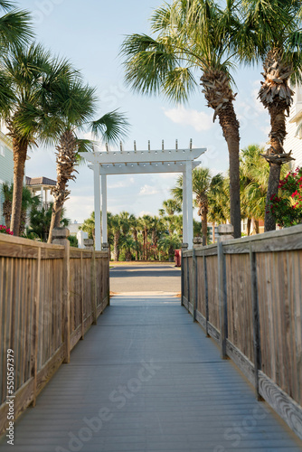Destin, Florida- Perspective view of a boardwalk with pergola roof at the end near the palm trees