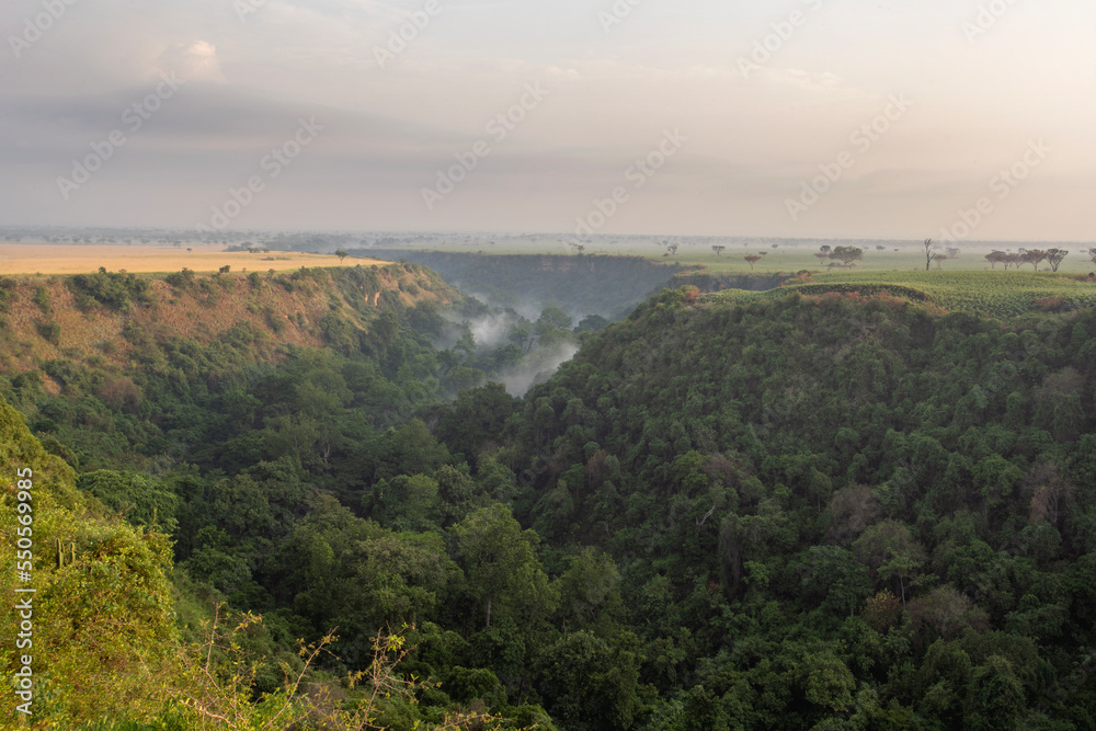 Kyambura Gorge are in the Uganda. Valley in Africa. Rain forest in the valley. 