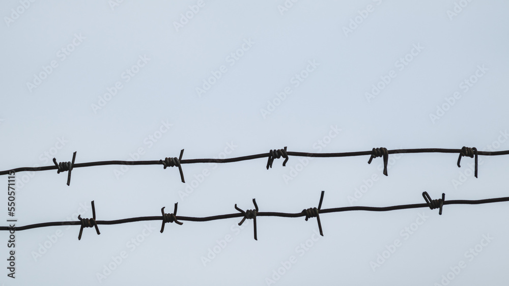 Barbed sharp metal wire fence on gray background. Border protection, warning of forbidden entry Barbed sharp metal wire fence on gray background. Border protection, warning of forbidden entry