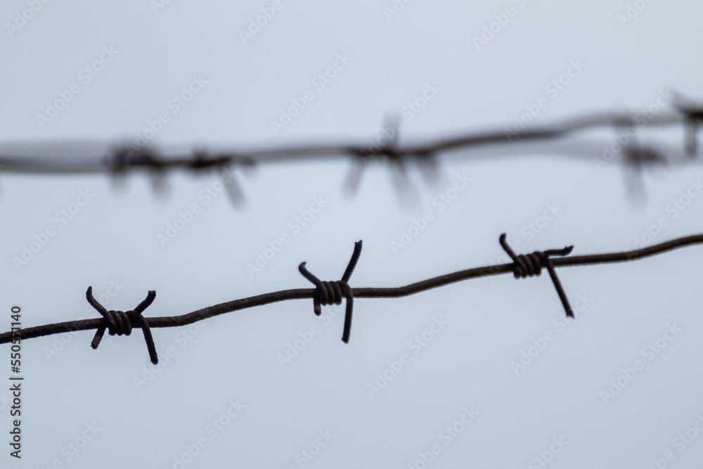 Barbed metal wire on gray with blurry background. Border protection fence, forbidden entry Barbed metal wire on gray with blurry background. Border protection fence, forbidden entry