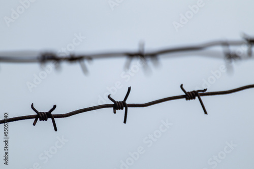 Barbed metal wire on gray with blurry background. Border protection fence, forbidden entry