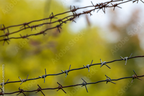 Barbed wire lines close-up with blurry greenery background. Border protection barbwire fence