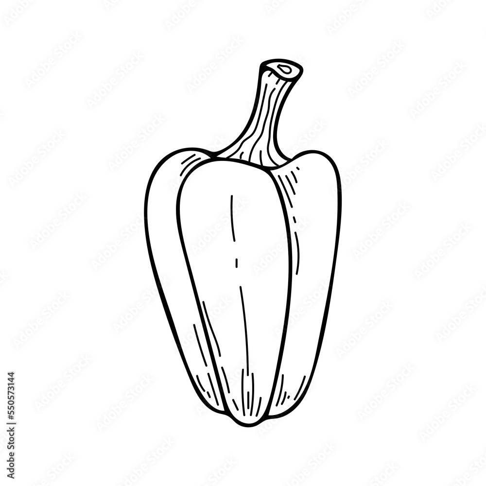 Sweet bell pepper line art. Farm vegetable. Dietary healthy product. Hand drawn vector sketch illustration. Sweet bell pepper line art. Farm vegetable. Dietary healthy product. Hand drawn vector sketch illustration.