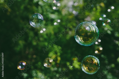 soap bubbles on green background, environment and earth day concept