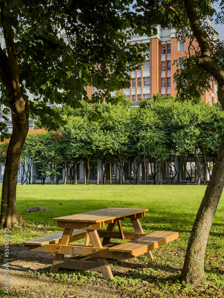 A bench in the park during sunny weather accompanied by some trees and buildings.