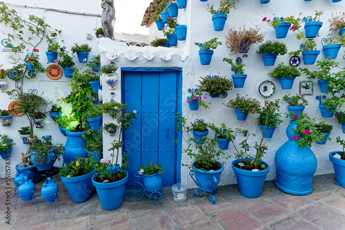 Decorated house with blue vases and flowers. Blue color. Stylish house.  © stu.dio