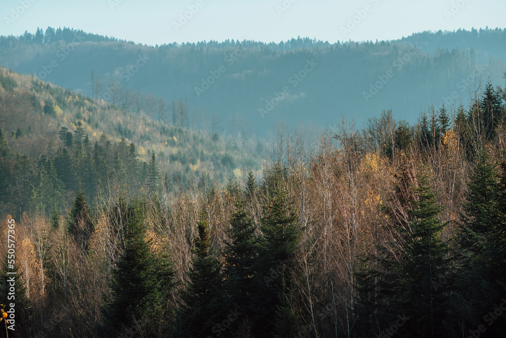 part of autumn
natural landscape with a view of space;
the foothills of the Carpathian Mountains in autumn