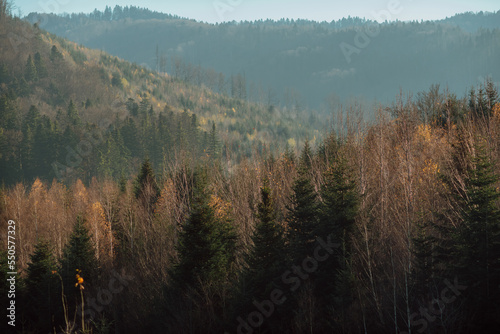 part of autumn natural landscape with a view of space; the foothills of the Carpathian Mountains in autumn