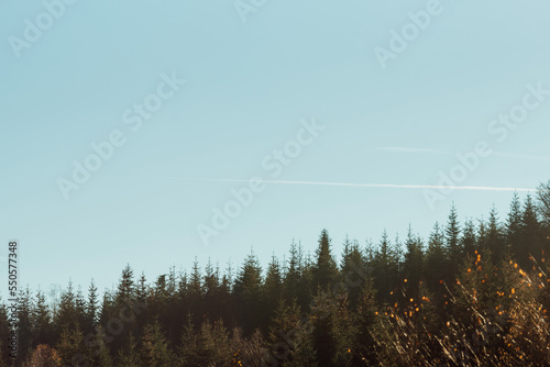 part of autumnnatural landscape with a view of space;
tops of coniferous trees on the mountain against the background of the sky photo