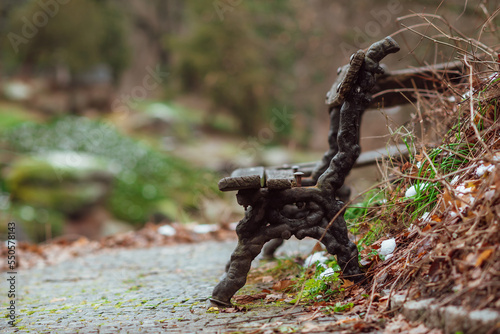 part of autumn natural landscape with a view of space  a bench in the park near a bush