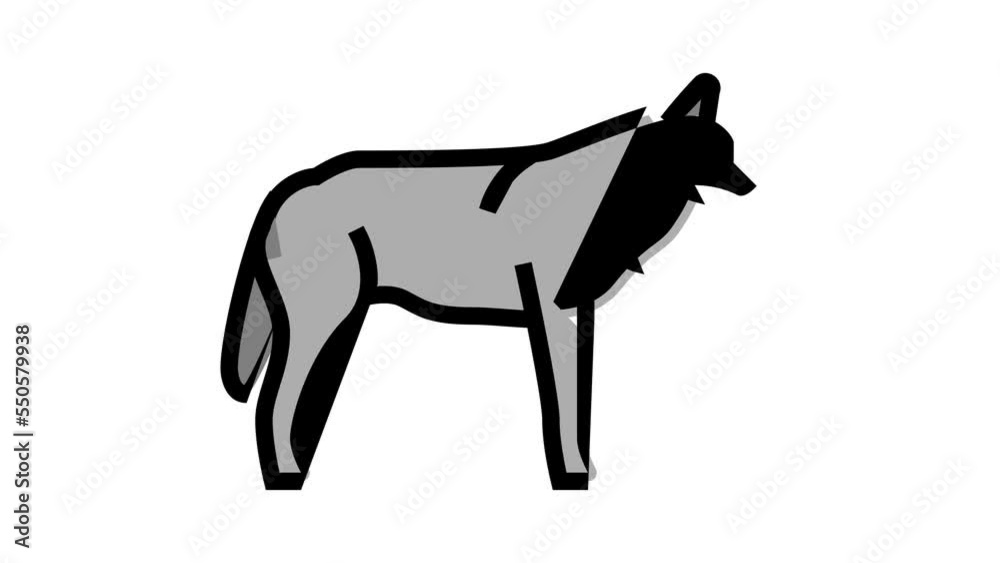 wolf wild animal color icon animation