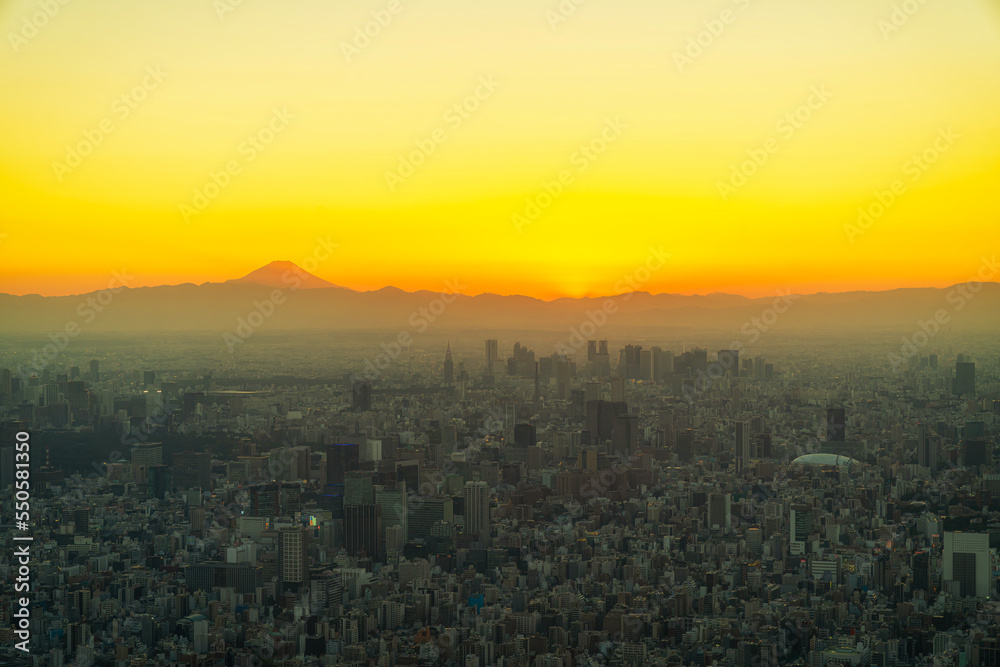 Tokyo, Japan cityscape with Fuji. City view of Tokyo in the sunset light with Mount Fuji.