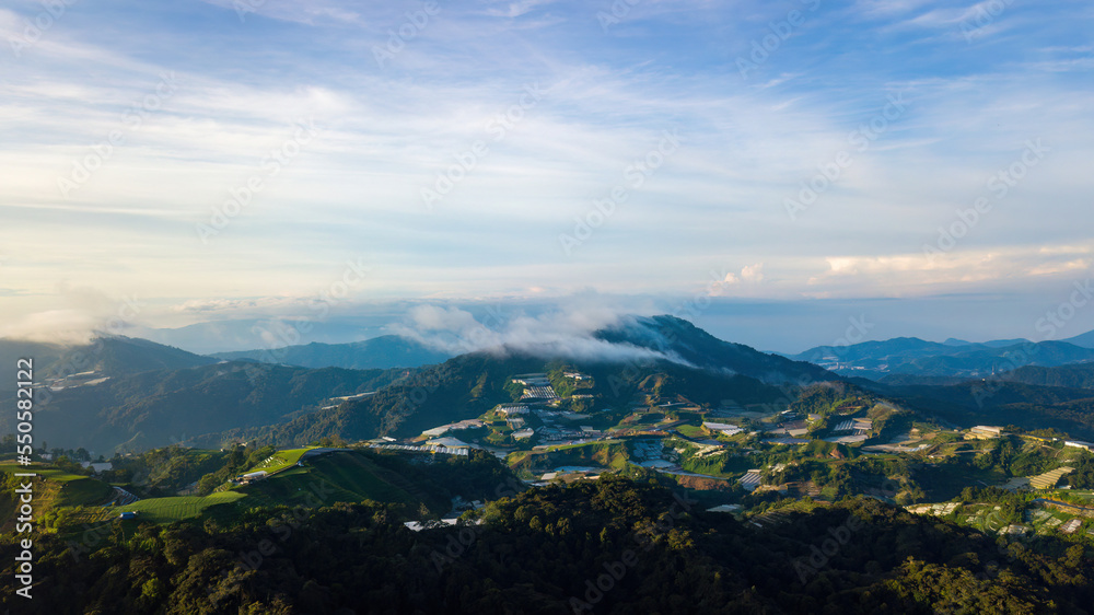 Mountain valley in contrasting morning light in Cameron Highlands.