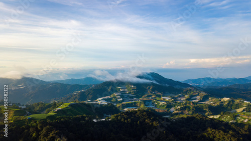 Mountain valley in contrasting morning light in Cameron Highlands.