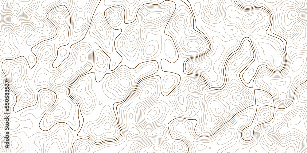 Abstract  3d Topographic map background.Line topography map contour background with space for copy.abstract vector illustration with geographic grid.