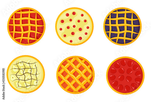 Pie set with different fillings. Vector illustration.View from above.