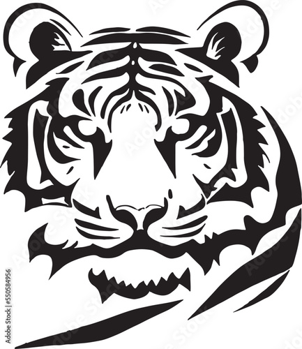 Tigre Stencil photo