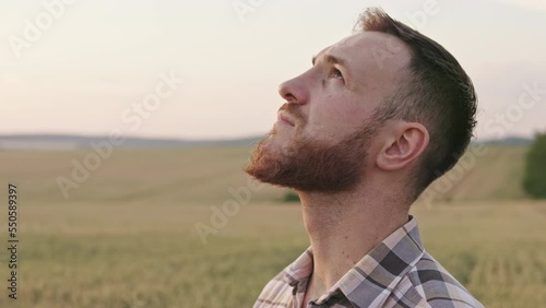 Close up of tired, hardworking farmer standing on field, growing wheat. Man with beard wearing plaid shirt raising head, looking in sky. Concept of agriculture and countryside.