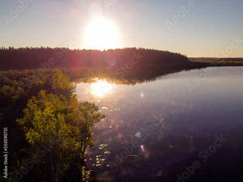 Lake water and green forest trees  aerial view. Summer landscape  beautiful nature  sunny day