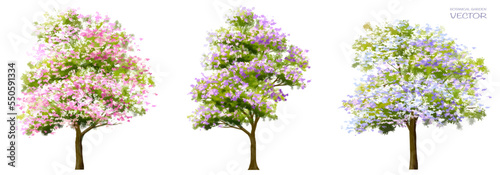 Vector watercolor blooming flower tree or forest side view isolated on white background for landscape and architecture drawing,elements for environment