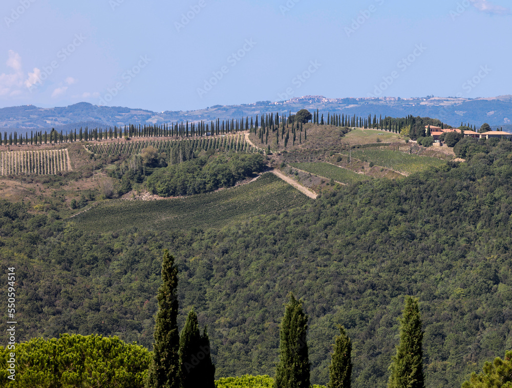 Naklejka premium The rural landscape near Pienza in Tuscany. Italy