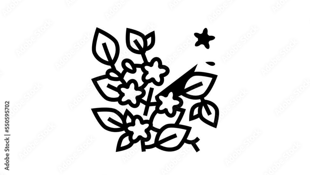 caroline jessamine line icon animation caroline jessamine line icon animation
