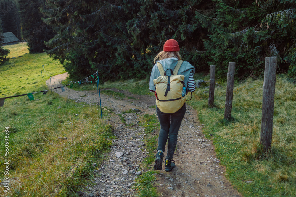 Forest hike trail hiker woman walking in autumn fall nature background in fall season. Hiking active people lifestyle wearing backpack exercising outdoors. Forest hike trail hiker woman walking in autumn fall nature background in fall season. Hiking active people lifestyle wearing backpack exercising outdoors.