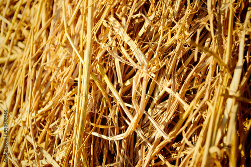 straw in the farm.