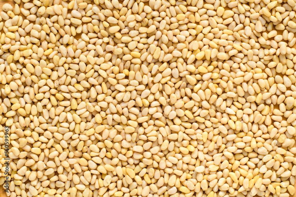 Pine nuts. Texture of pine nuts. View from above Pine nuts. Texture of pine nuts. View from above