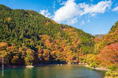 Autumn in lake Okutama, Japan