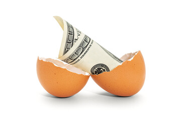 Eggshell with 100 dollar bank note -Money newly hatched from a broken nest-egg, representing accumulated savings