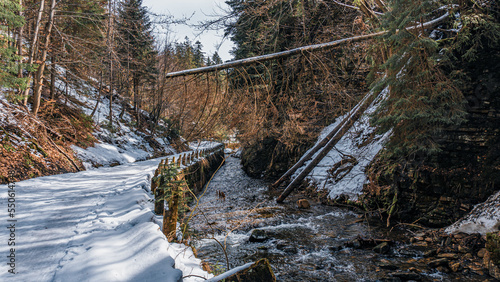 Obraz na płótnie Biała Wisełka zimą z wodospadami, dolina pod Baranią Górą w górach, Beskid Śląski gdzie są źródła rzeki Wisła największej rzeki w Polsce w salonie