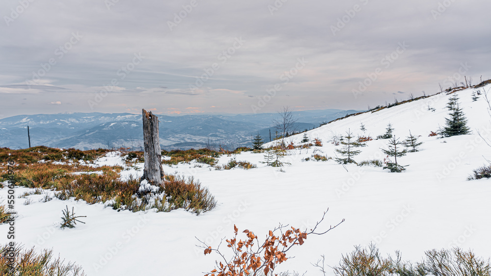 Góry zimą, Beskid Śląski w Polsce widok z Baraniej Góry