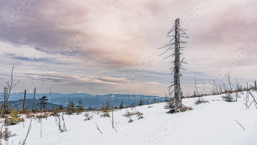 Fototapeta Naklejka Na Ścianę i Meble -  Góry zimą, Beskid Śląski w Polsce widok z Baraniej Góry