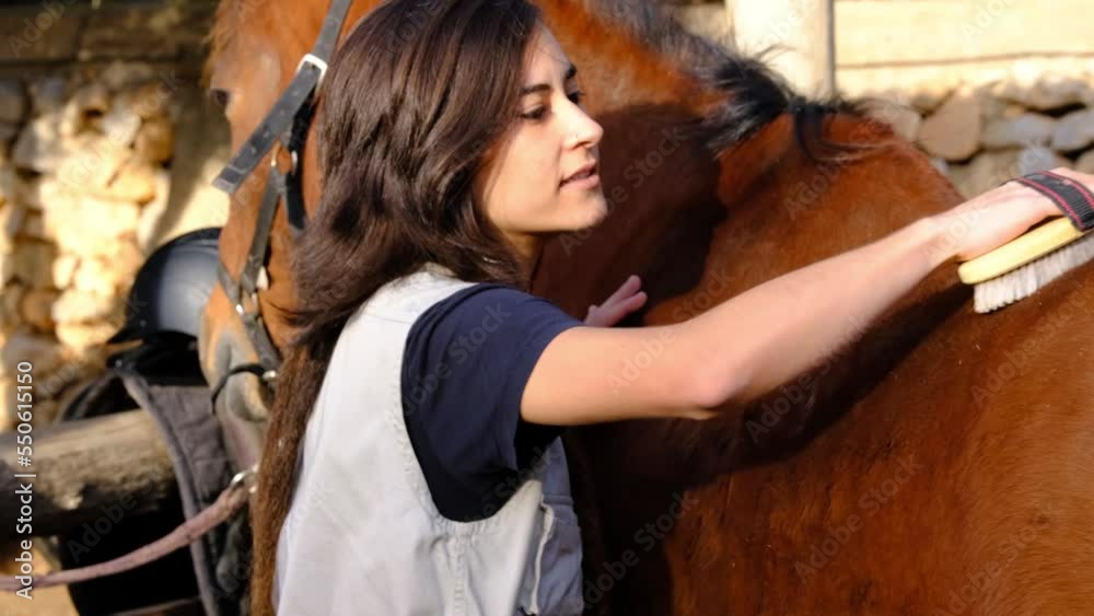 Girl taking care of her horse by brushing the back. Girl taking care of her horse by brushing the back.