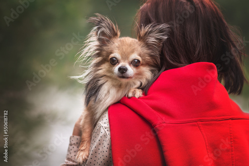 a small dog peeks out from behind the owner's back