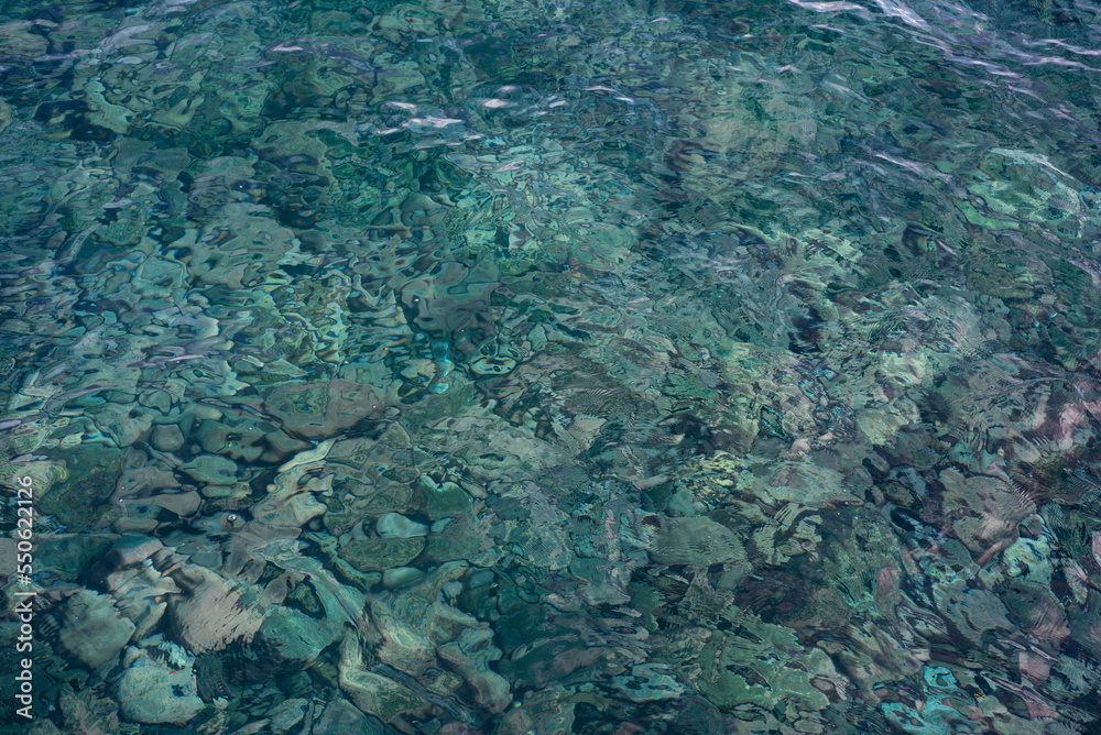 Fototapeta premium The seabed through the transparent water column. Overflows and reflection of sunlight.