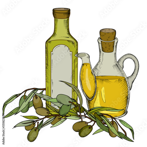 Olives and organic olive oil in bottles for food and cosmetics wrapping and labels design, emblems, hand drawn sketch vector illustration isolated on white.