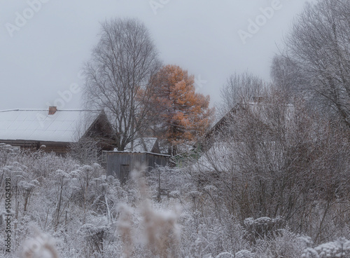 The beginning of winter in the Russian village. Vepsian Forest photo