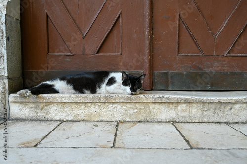 The cat is sleeping on the doorstep in front of the house.