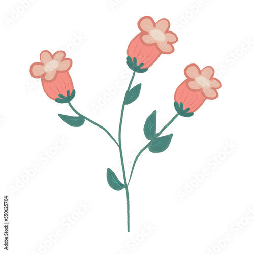 Fototapeta Naklejka Na Ścianę i Meble -  pink rose flower