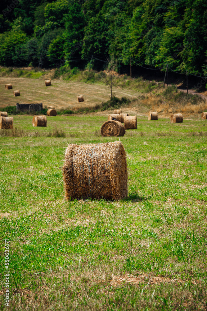 Belles meules ou meulons de foins - Beautifull Haystacks Belles meules ou meulons de foins - Beautifull Haystacks