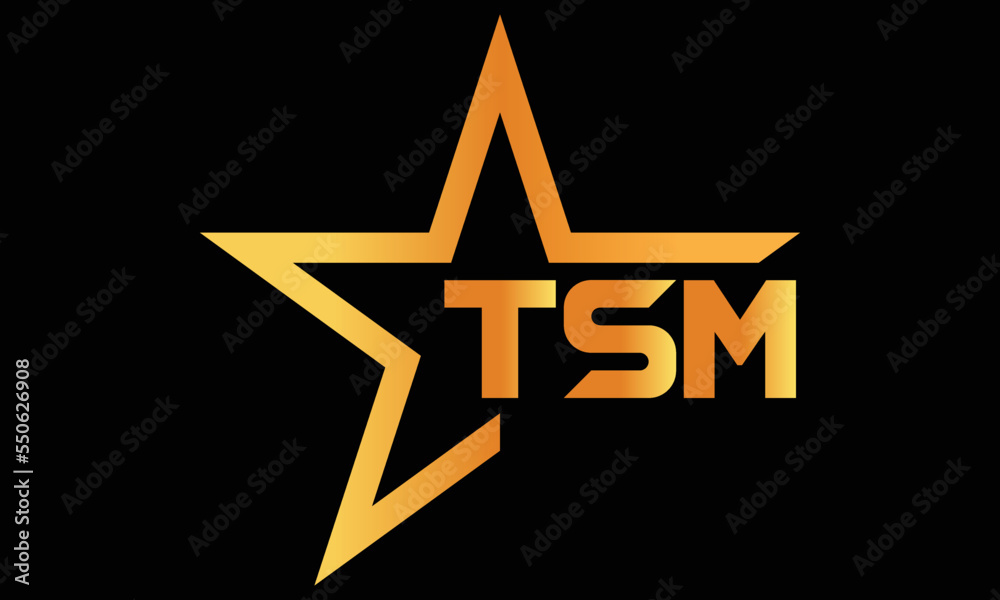 TSM golden luxury star icon three letter logo design vector template. royal logo | luxury logo | jewelry logo | premium logo | iconic logo | Victoria logo |