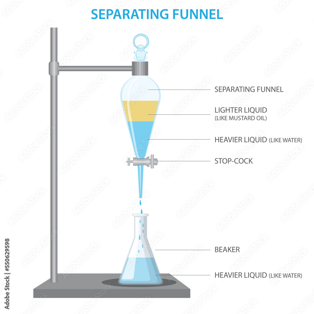 separating funnel used to seperate two immiscible solvent phases vector