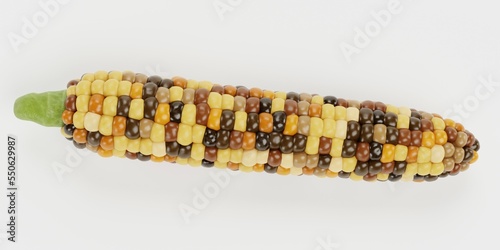 Принти на полотні Realistic 3D Render of Corn