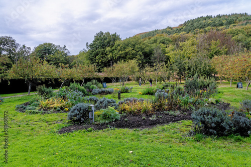 Margam country park garden - Margam Country Park photo