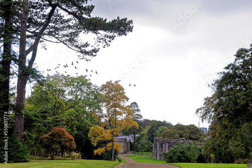 Twelve sided Chapter House - monastic ruins - Margam Country Park photo