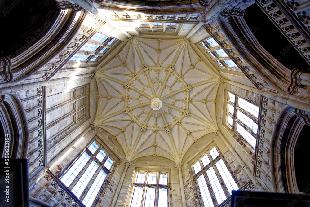 Obraz premium Stairhall ceiling inside Margam Castle - Margam Country Park