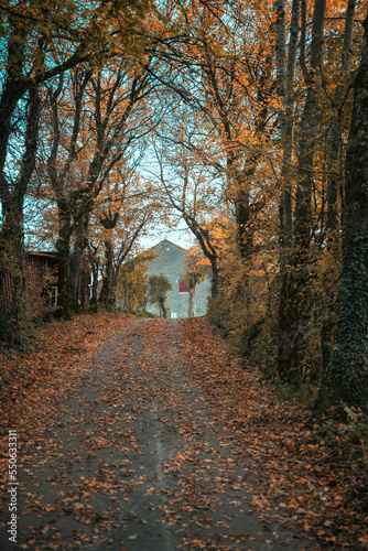 chemin de campagne en automne © Pyc Assaut